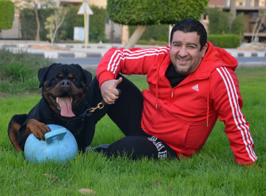 Rottweiler Puppy Training